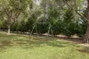 1 Lindan Court, Cabarlah, Qld 4352-Image