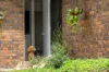 1 Lindrick Court, Tewantin, Qld 4565