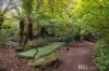 1 Lumeah Avenue, Olinda, Vic 3788-Image