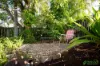 1 Marcia Belle Place, Joyner, Qld 4500-Image