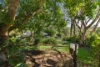 1 McNally Street, Bellingen, NSW 2454-Image
