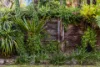 1 McNally Street, Bellingen, NSW 2454-Image