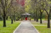 1 Mirrim Place, Gowanbrae, Vic 3043-Image
