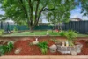 1 Mofflin Street, Chisholm ACT 2905-Image