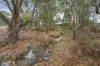 1 Monarch Court, Willunga, SA 5172-Image