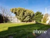 1 Morialta Avenue, Norwood, Tas 7250-Image