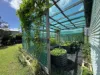 1 Morse Street, Monto, Qld 4630-Image