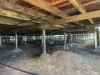 1 Morse Street, Monto, Qld 4630-Image