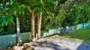1 Myola Road, Umina Beach, NSW 2257-Image