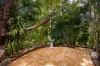 1 Napier Street, St Lucia, Qld 4067-Image