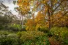 1 Nara Road, Stirling, SA 5152-Image