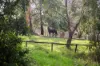 1 Nara Road, Stirling, SA 5152-Image