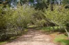 1 Nara Road, Stirling, SA 5152-Image