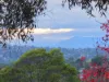 1 Noora Court, Croydon, Vic 3136-Image