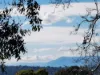 1 Noora Court, Croydon, Vic 3136-Image