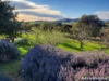 1 Ollie Drive, Sorell, Tas 7172-Image