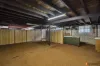 1 Palm Avenue, Taranganba, Qld 4703-Image
