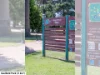 1 Peace Street, Glen Iris, Vic 3146-Image