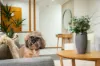 1 Peony Court, Morphett Vale, SA 5162-Image