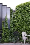 1 Powell Street, South Yarra, Vic 3141-Image