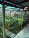 1 Queen Street, Willaston, SA 5118-Image
