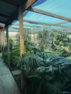 1 Queen Street, Willaston, SA 5118-Image