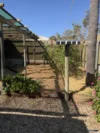 1 Queen Street, Willaston, SA 5118-Image