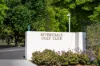 1 Queens Parade, Ashwood, Vic 3147-Image