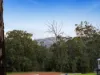 1 Rainforest Court, Cabarlah, Qld 4352-Image