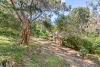 1 Reed Street, Belair, SA 5052-Image