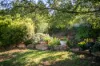 1 Robert Street, Mannum, SA 5238-Image