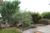 1 Russell Rise, Denmark WA 6333-Image