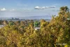 1 Ruthven Way, Ringwood East, Vic 3135-Image