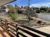 1 Sellar Street, Cooma, NSW 2630-Image