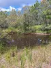 1 Shields Road, Boolboonda, Qld 4671-Image