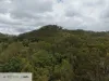 1 Shields Road, Boolboonda, Qld 4671-Image