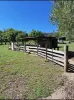 1 Shields Road, Boolboonda, Qld 4671-Image