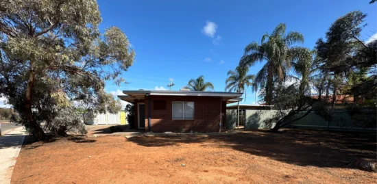 1 Silver Gimlet Street, Kambalda West, WA 6442