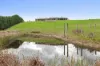 1 Swan Court, Wandong, Vic 3758-Image