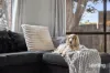 1 Syme Court, Sunbury, Vic 3429-Image