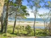 1 The Boulevard, Bongaree, Qld 4507-Image