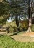 1 Thomas Hales Place, Gordon, ACT 2906-Image