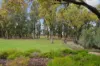 1 Tranquil Loop, Baldivis, WA 6171-Image