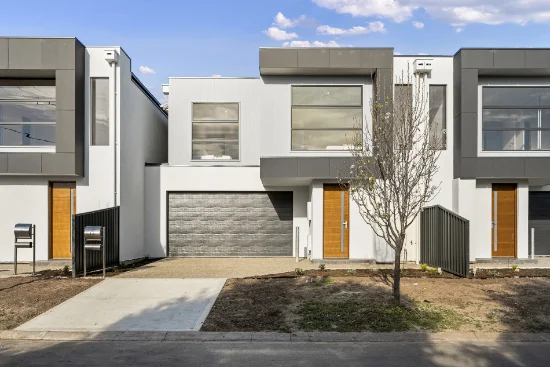 1 Trellios Street, Modbury, SA 5092