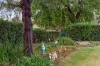 1 Trezise Way, Clare, SA 5453-Image