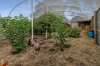 1 Tucker Street, Malmsbury, Vic 3446-Image