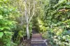 1 Underwood Close, Pomona, Qld 4568-Image