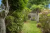 1 Wallace Street, Mollymook, NSW 2539-Image