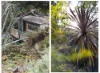 1 Waterfall Road, Oatley, NSW 2223-Image
