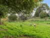 1 Waverley Road, Ulverstone, Tas 7315-Image